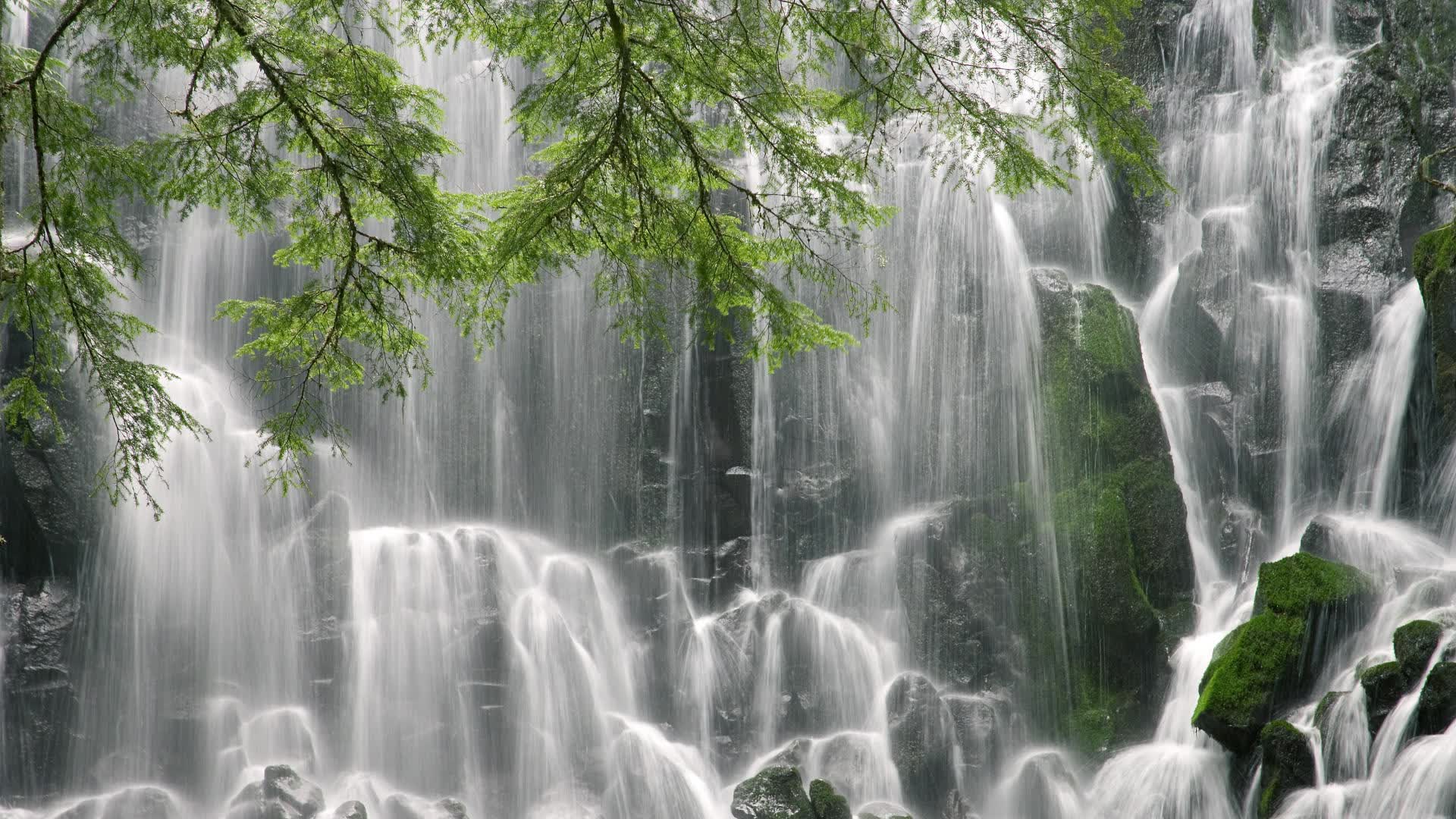 世界短道公开赛：规则与安全并重推动竞赛规范化，短道世界纪录