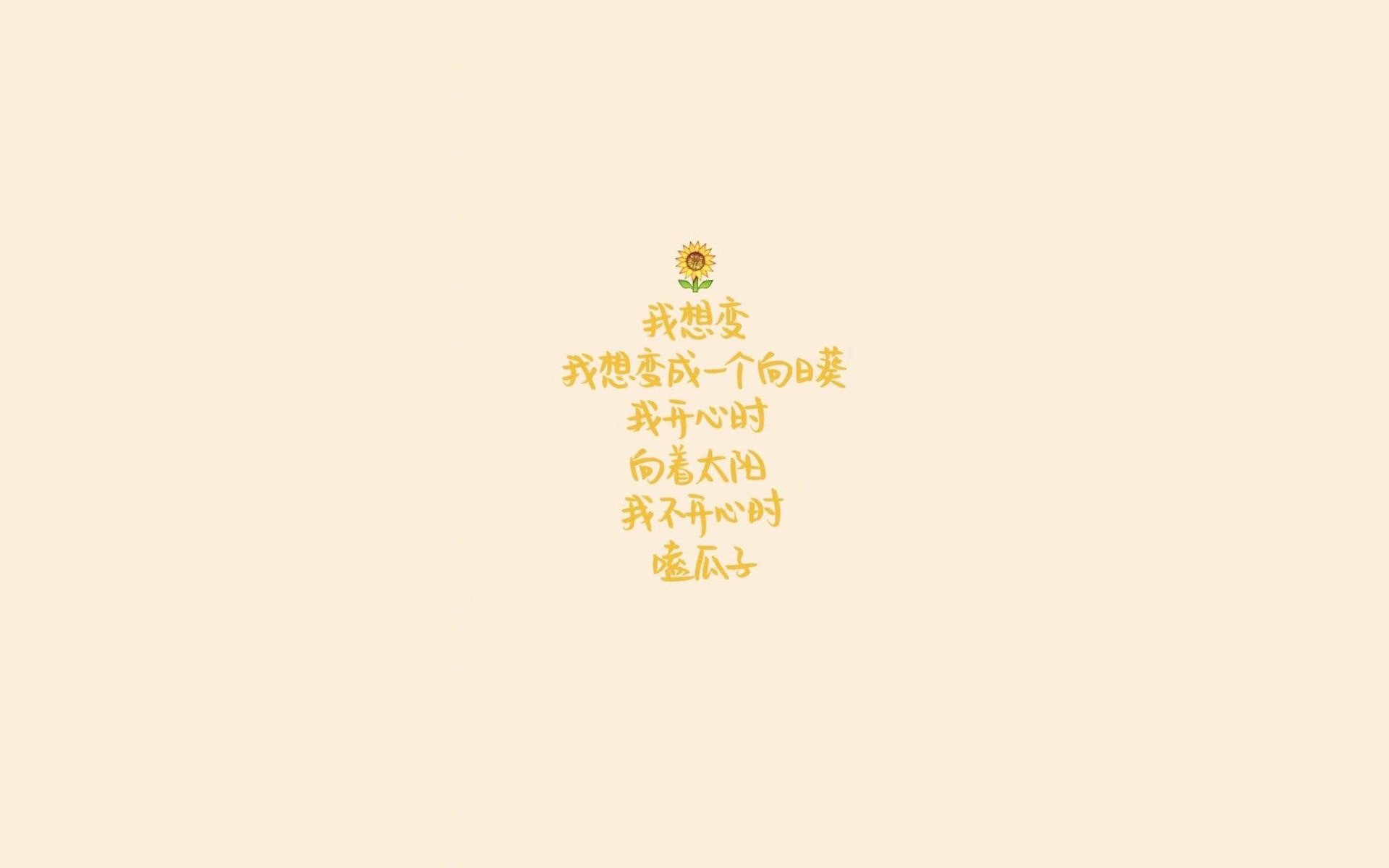 世界短道公开赛:规则与安全并重推动竞赛规范化,短道世界纪录